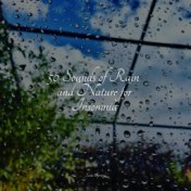 50 Sounds of Rain and Nature for Insomnia