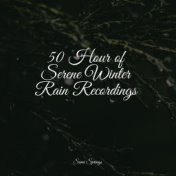 50 Hour of Serene Winter Rain Recordings
