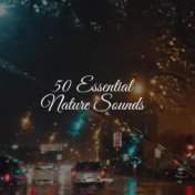 50 Essential Nature Sounds