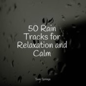 50 Rain Tracks for Relaxation and Calm