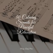 50 Calming Sounds for Peaceful Relaxation