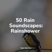 50 Rain Soundscapes: Rainshower