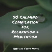 50 Calming Compilation for Relaxation & Meditation