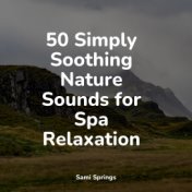 50 Simply Soothing Nature Sounds for Spa Relaxation