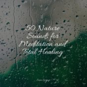 50 Nature Sounds for Meditation and Total Healing