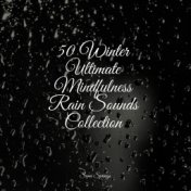 50 Winter Ultimate Mindfulness Rain Sounds Collection