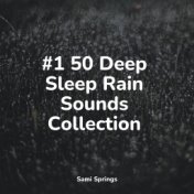 #1 50 Deep Sleep Rain Sounds Collection