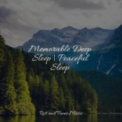 Memorable Deep Sleep | Peaceful Sleep