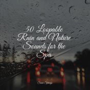 50 Loopable Rain and Nature Sounds for the Spa