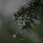 50 Gentle Rain Tracks for Spa & Serenity