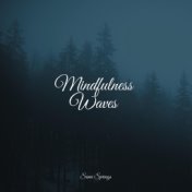 Mindfulness Waves