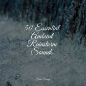 50 Essential Ambient Rainstorm Sounds