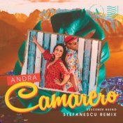 Camarero (Stefanescu Remix)