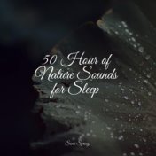 50 Hour of Nature Sounds for Sleep