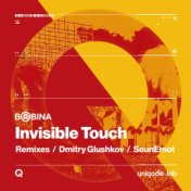 Invisible Touch (Remixes)
