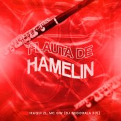 Flauta de Hamelin