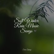 Soft Winter Rain Music Songs