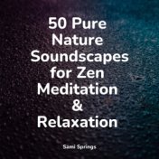 50 Pure Nature Soundscapes for Zen Meditation & Relaxation