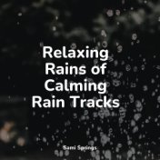 Relaxing Rains of Calming Rain Tracks