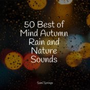 50 Best of Mind Autumn Rain and Nature Sounds