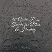 50 Gentle Rain Tracks for Bliss & Healing