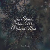 Zen Steady Focus Mix: Natural Rain