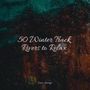 50 Winter Track Rivers to Relax