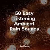 50 Easy Listening Ambient Rain Sounds