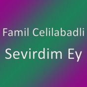 Sevirdim Ey