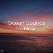 !!" Ocean Sounds No Music "!!