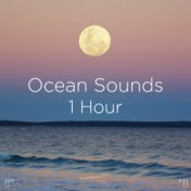 !!" Ocean Sounds 1 Hour "!!