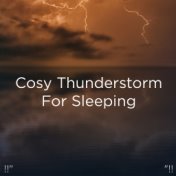 !!" Cosy Thunderstorm For Sleeping "!!