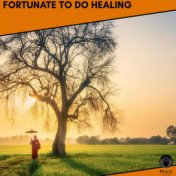 Fortunate To Do Healing