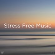 !!" Stress Free Music "!!