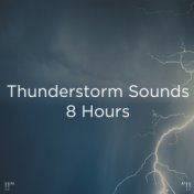 !!" Thunderstorm Sounds 8 Hours "!!