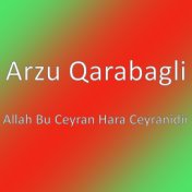 Allah Bu Ceyran Hara Ceyranidir