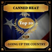 Going Up the Country (Billboard Hot 100 - No 11)