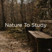 !!" Nature To Study "!!