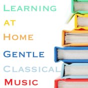 Learning at Home Gentle Classical Music
