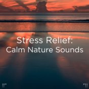 !!" Stress Relief: Calm Nature Sounds "!!