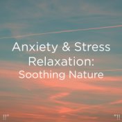 !!" Anxiety & Stress Relaxation: Soothing Nature "!!