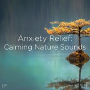 !!" Anxiety Relief Calming Nature Sounds "!!