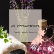 Willow Waters Spa - Peaceful Melody For Relaxation