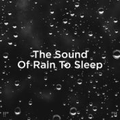 !!" The Sound Of Rain To Sleep "!!