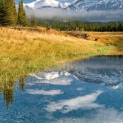 Intensive Tension Release - Zen Garden, Infinity