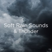 !!" Soft Rain Sounds & Thunder "!!