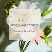 Silver Willows Spa Resort - Relaxing And Calming Tunes