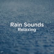 !!" Rain Sounds Relaxing "!!