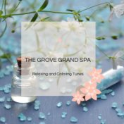 The Grove Grand Spa - Relaxing And Calming Tunes