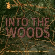 You Sing the Shows: Into the Woods (Karaoke Versions)